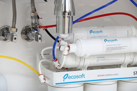 Фильтр обратного осмоса Ecosoft Standard 6-50M с минерализатором (MO650MECOST)