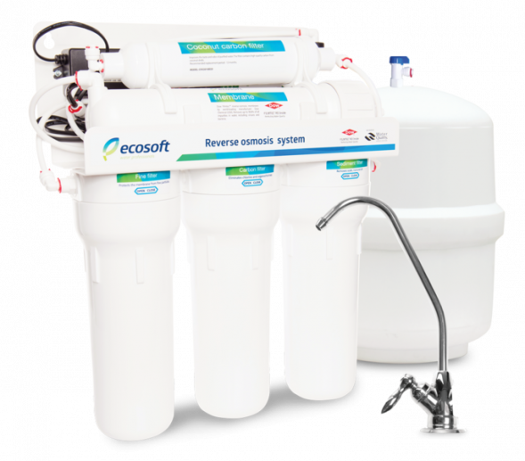 Ecosoft Standard 5-50P с помпой (MO550PECOST)